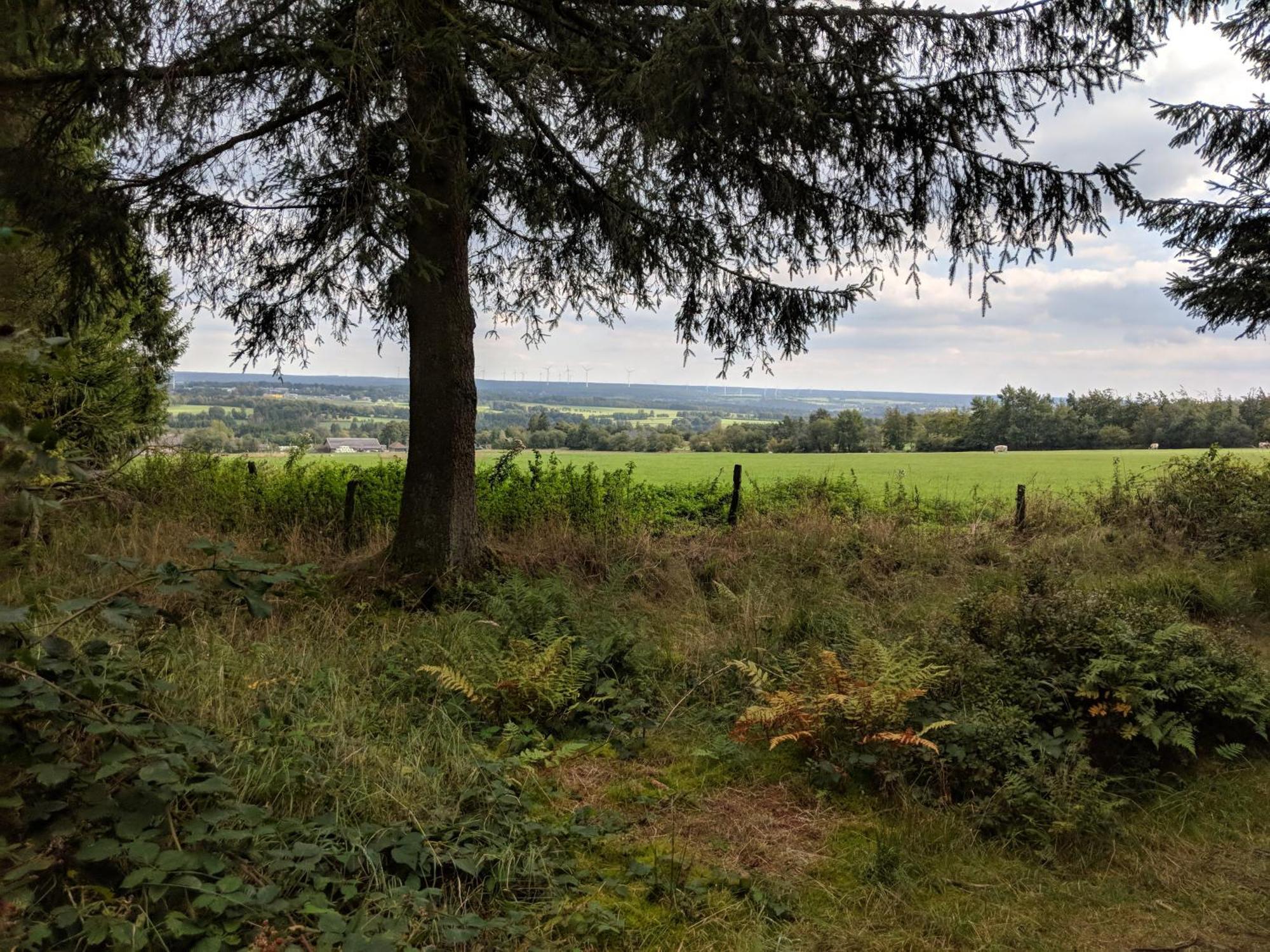 Victorhof Landurlaub Deine Auszeit Im Gruenen, Umgeben Von Wald & Wiesen Monschau Exteriér fotografie